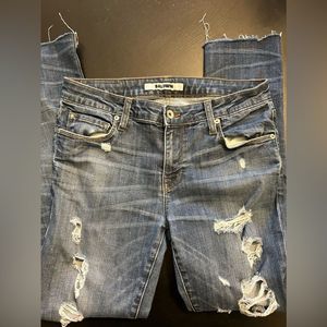 BALDWIN The Ten The Skinny Distressed